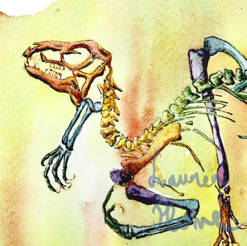 Illustration à l'aquarelle d'un dinosaure fossile