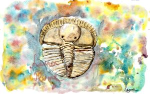 trilobite